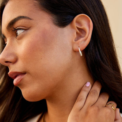 Francesca Smooth Drop Earrings in Silver-Tone