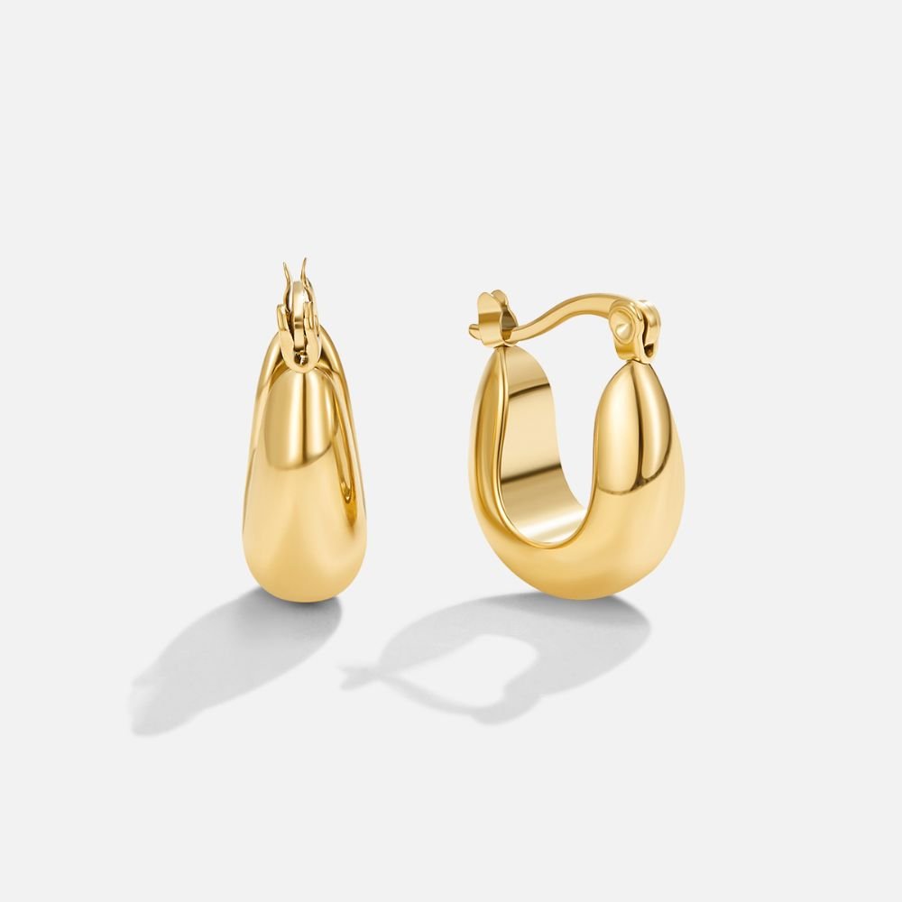 Serenity Polished Gold-Tone Hoop Earrings