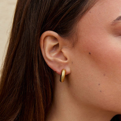 Lulu Lightly Coiled Spring Hoop Earrings