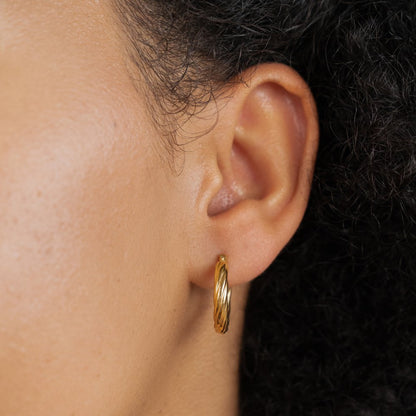 Raya Gently Twisted Narrow Hoop Earrings