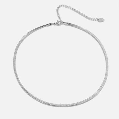 Sarya Flat Snake Chain Silver-Tone Necklace